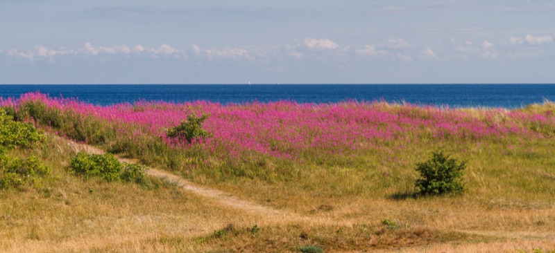 Strand an der dänischen Ostseeküste auf Falster