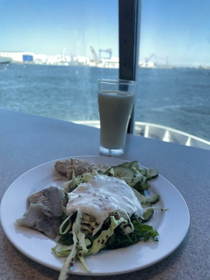 Matjes mit Krautsalat, Gurke und Remoulade vom Buffet auf der Fähre Rostock-Gedser, Fensterplatz mit Blick auf den Rostocker Hafen
