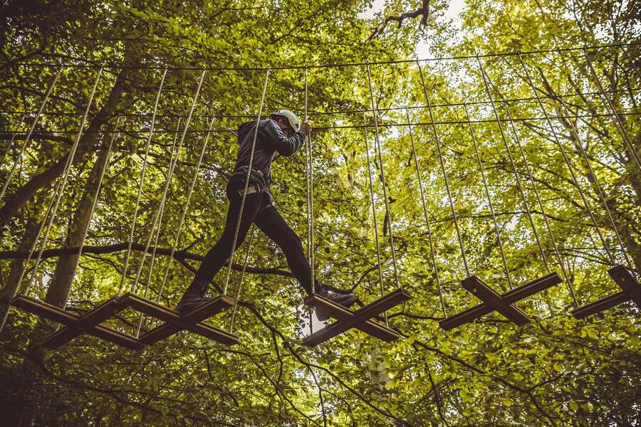 Kinder im Abenteuerwald