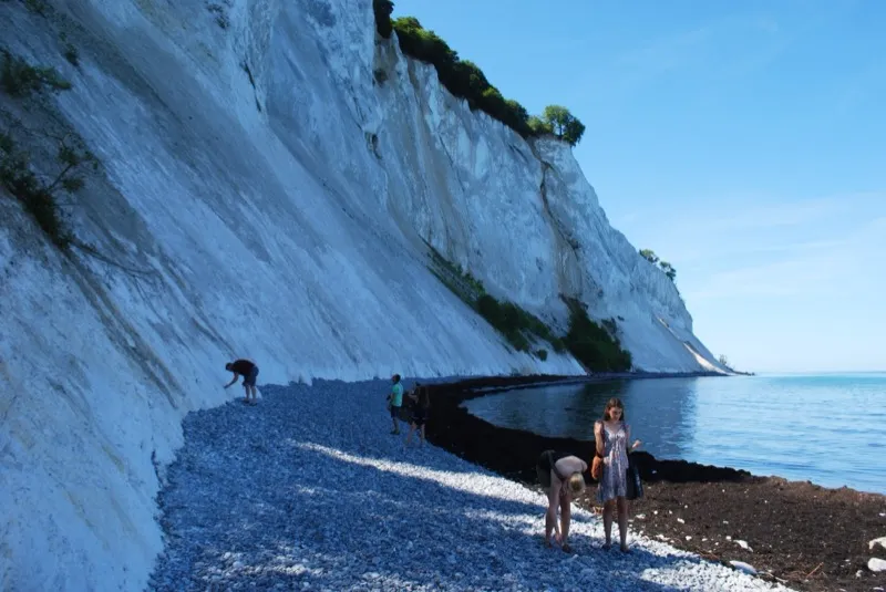 Die Kreidefelsen von Møns Klint an der Ostsee