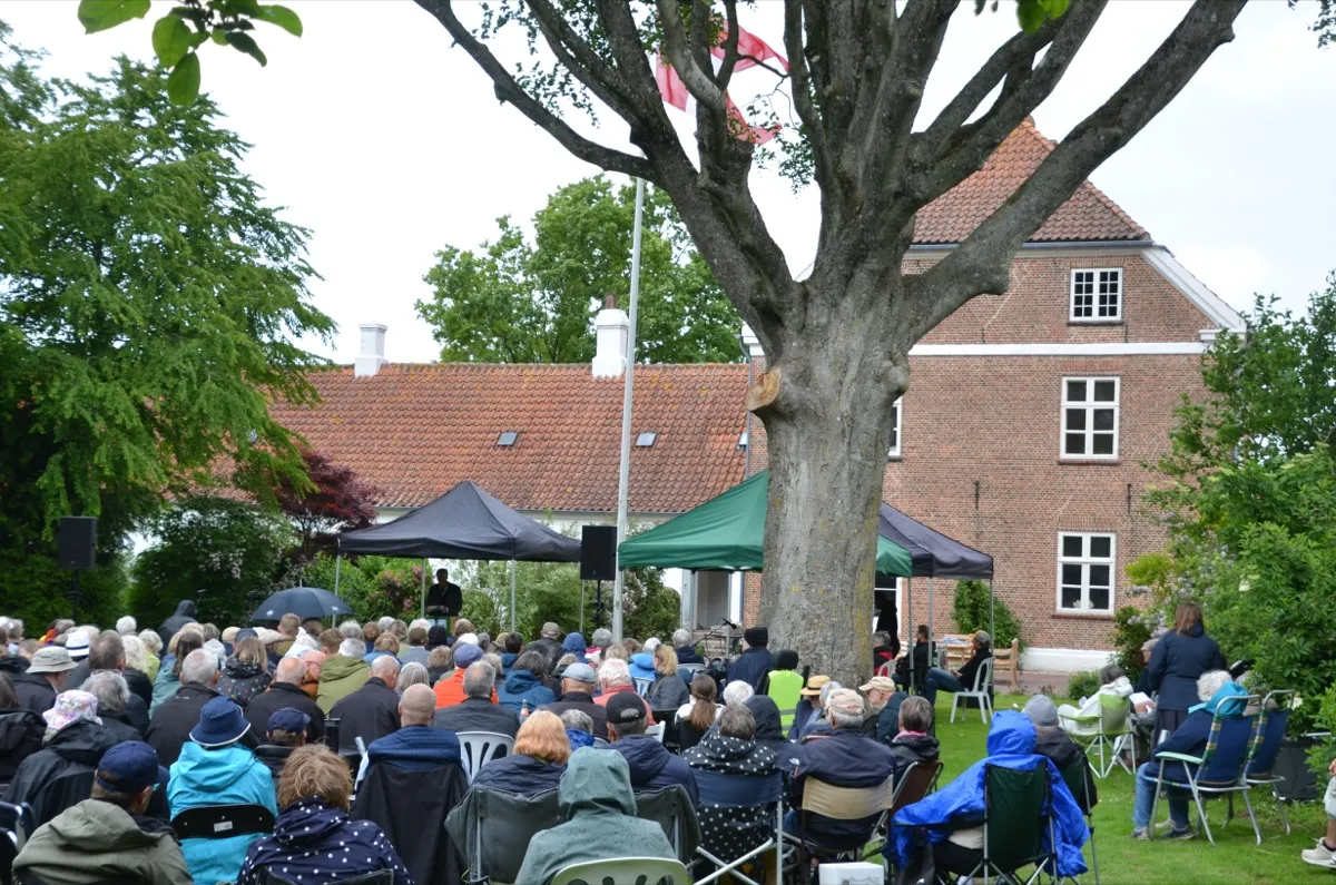 Dannebrog-Flaggen in der historischen Altstadt von Ribe am Grundlovsdag