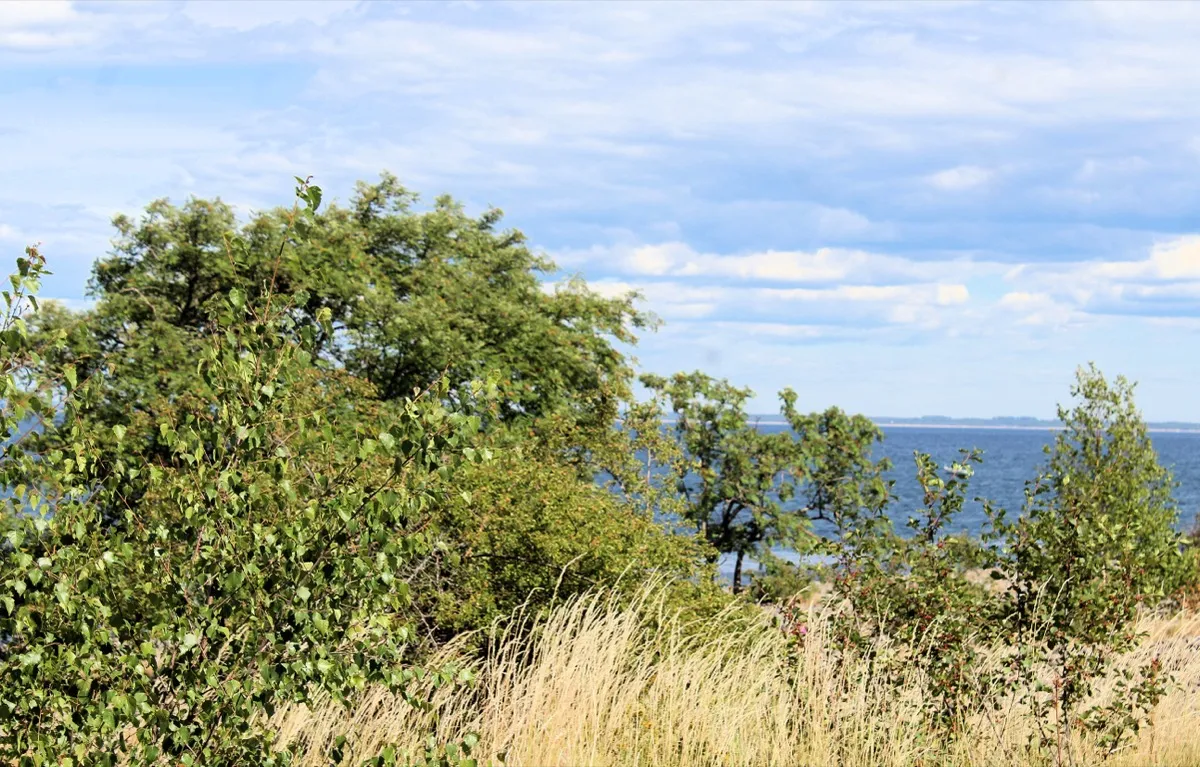 Schwedische K&uuml;ste bei B&aring;stad mit Felsen und blauem Meer