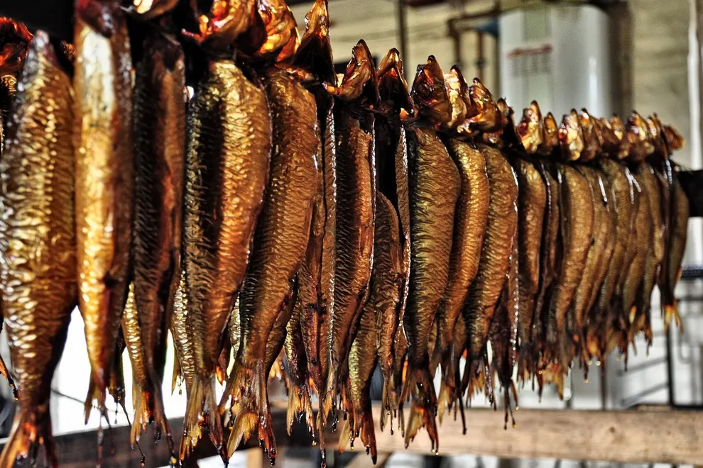 Geräucherte Heringe auf dem Rost einer dänischen Räucherei