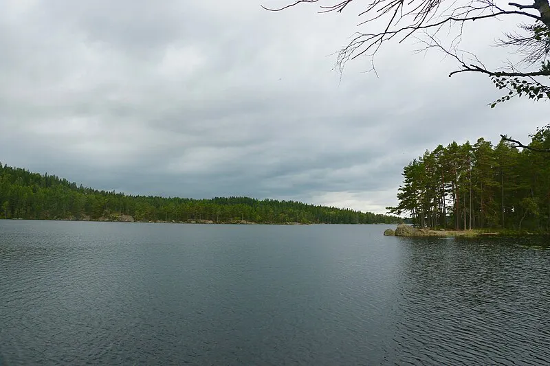 Kristallklarer See umgeben von grünen Wäldern in Südschweden
