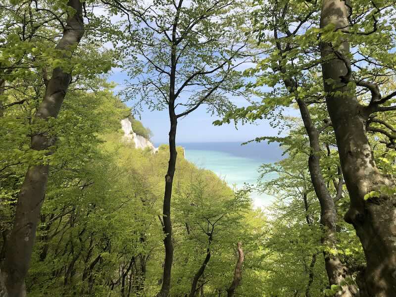 Møns Klint